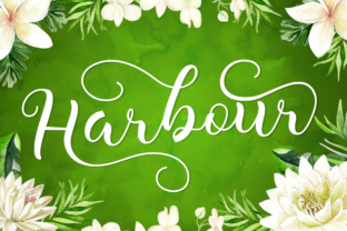 Harbour Font Review: A Modern Calligraphy Script Worth Testing in Your Brand Work