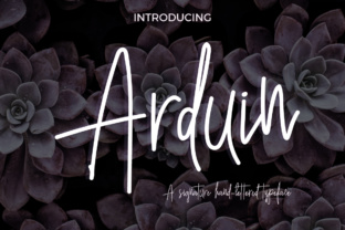 How Arduin Font Helped Me Build a Consistent Brand