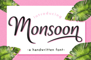 Monsoon Script Font: A Web Designer’s Honest Review