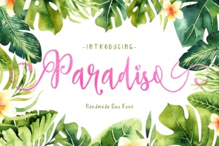 Paradiso Duo: A Web Designer’s Review of This Versatile Typeface