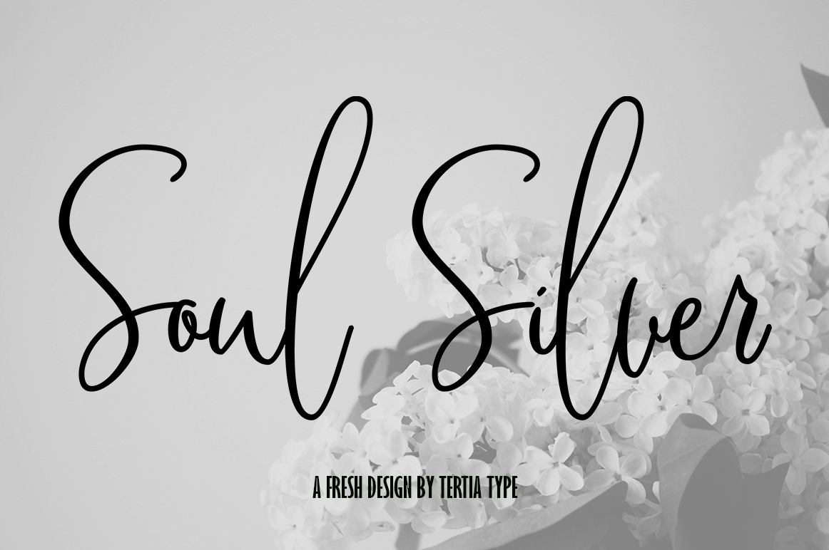 Soul Silver Font: A Web Designer’s Hands-On Review
