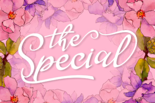 The Special Font: A Handwritten Script That Delivers Elegance
